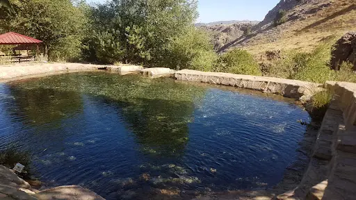 Hatıra Ormanı 4