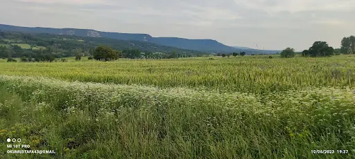 Topçam Koruma Alanı