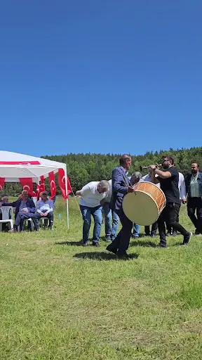 Dipler Piknik Alanı 4