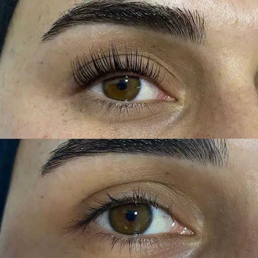 Luxe Elegans Beauty 4