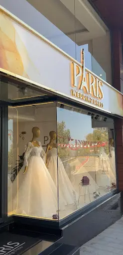 Paris Wedding Dress 2