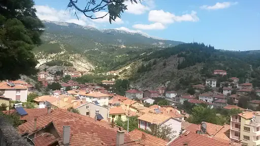 Şaphane