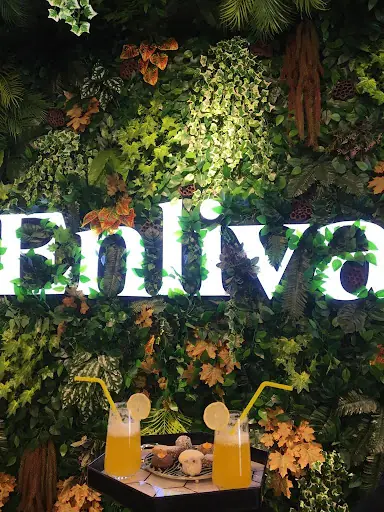 ENLİVA LUXURY GÜZELLİK MERKEZİ KAYSERİ