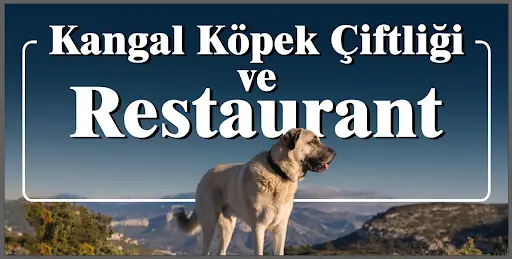 Kangal Kaymakamlığı Köpek Yetiştirme Çiftliği 2