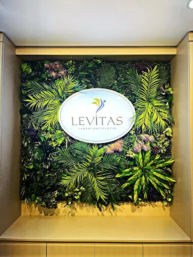 Levitas Danışmanlık Merkezi