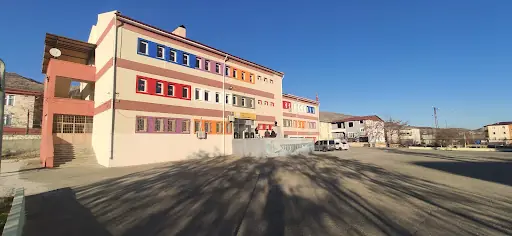 Lice Anadolu Lisesi 2