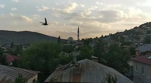 Kullar Beldesi 3