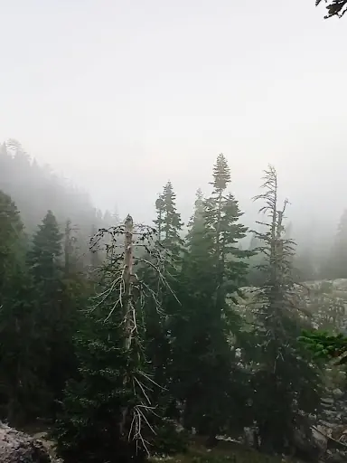 TOKLU YAYLASI 5