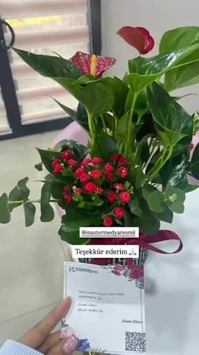 Sude Avcı beauty center 3