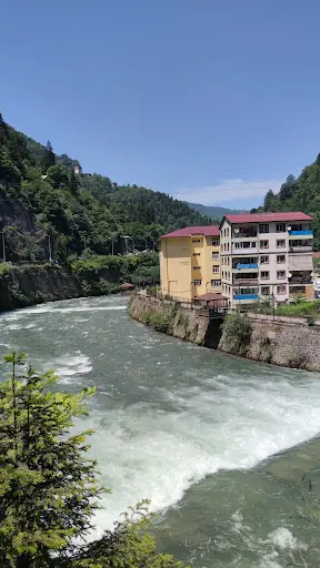 pohpedi 3