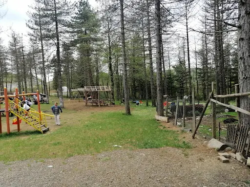 Royal 52 Sayacabaşı