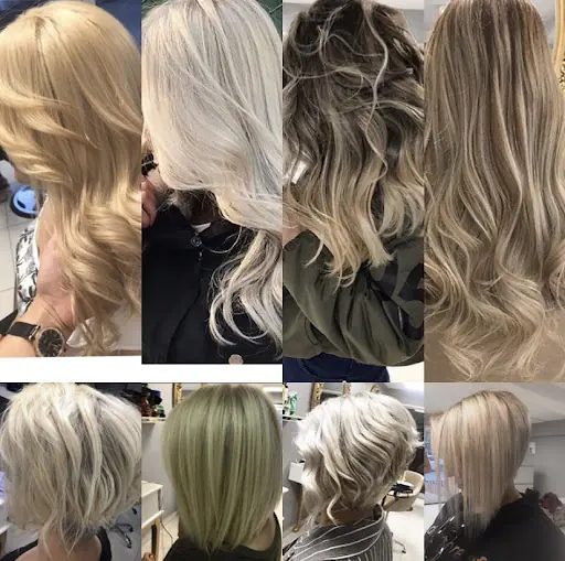 Salon liva