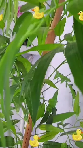 . 3