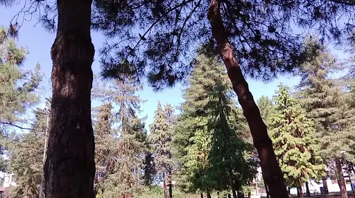 Hatıra Koruluğu 3
