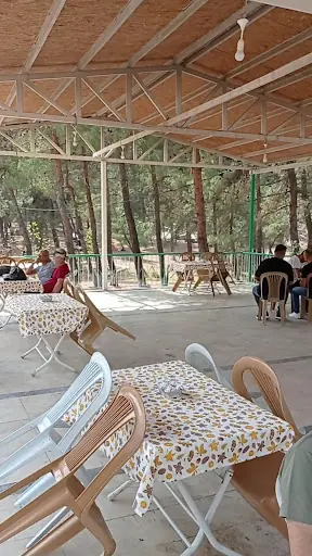 Karagöz Şenlik Alanı 3