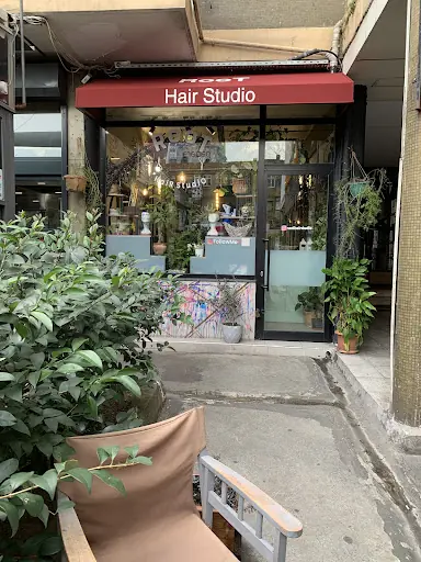 Root hair studio 3