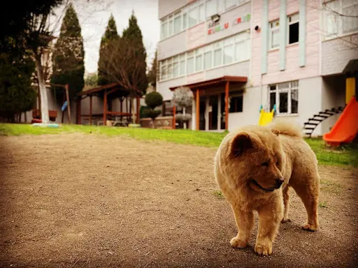 Özel Kumlu Kreş Ve Gündüz Bakım Evi 2