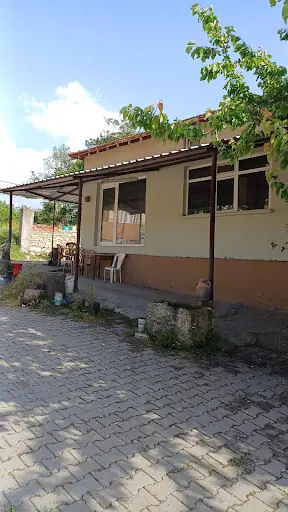 Şuayip bux
