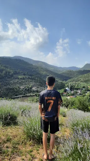 Hoşcan lavanta tarlası
