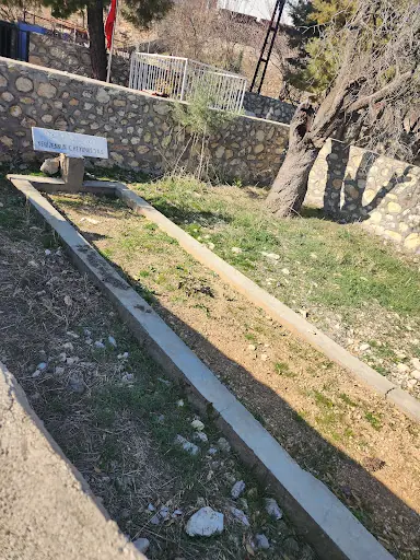 Zennun Aleyhisselam Yunus Peygamber
