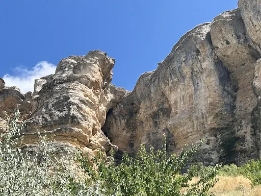 Çobanuşağı Köyü 4
