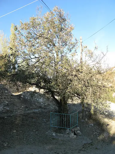Seyyid Baba Mansur Ocağı 3