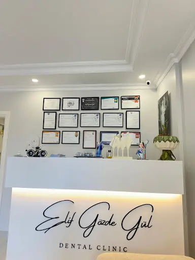 Dt. Elif Nurhak Erdal, Diş Hekimi 4