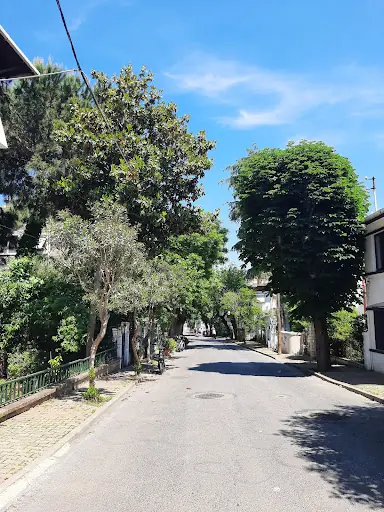 ADALAR TOPLUM SAĞLIĞI MERKEZİ