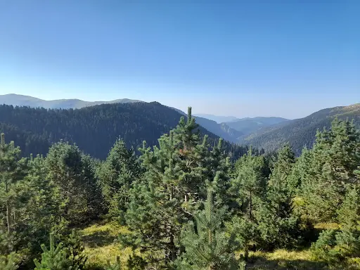 Dalıp Obası / Yağlıdere