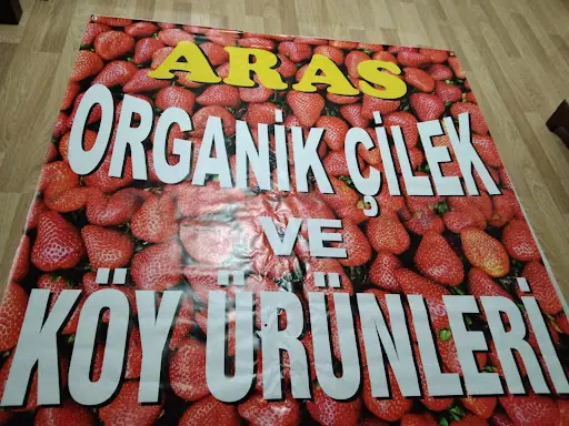 Doğal Çilek 3