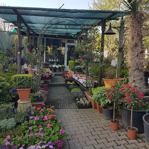 Yüce Prenses Seracılık – Diğer (Güzellik), İstanbul