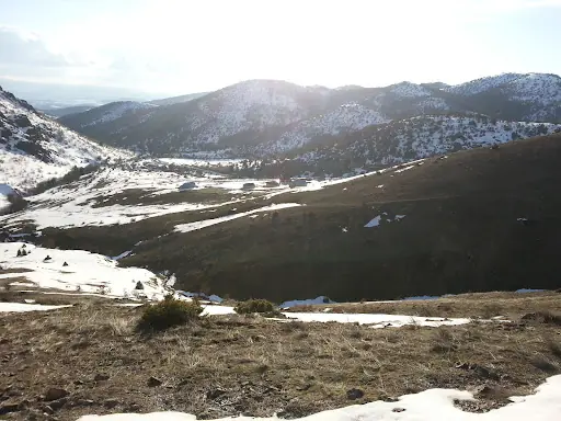 Şiran