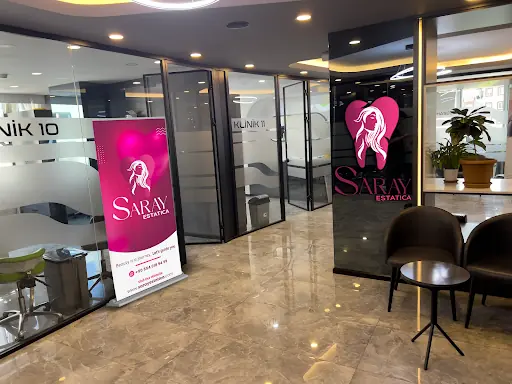 Saray Estatica 2