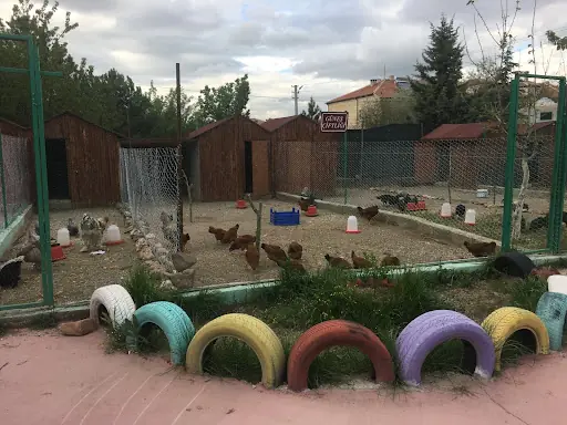 Özel Güneş Engelli Bakım Merkezi