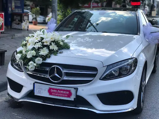 Gelin Arabacısı 2