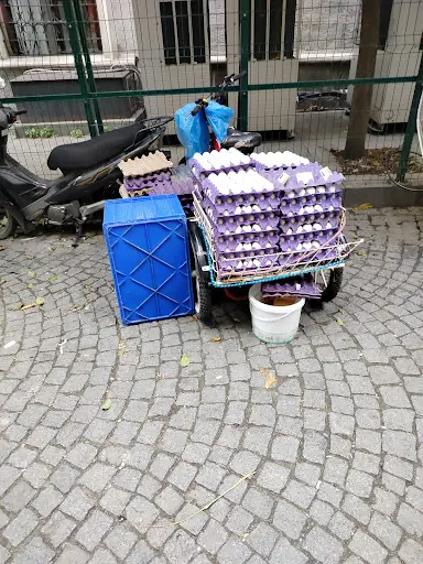 ¹⁹²⁷ GRAND İSTANBUL HOLDİNG – Diğer (Güzellik), İstanbul (3. fotoğraf)