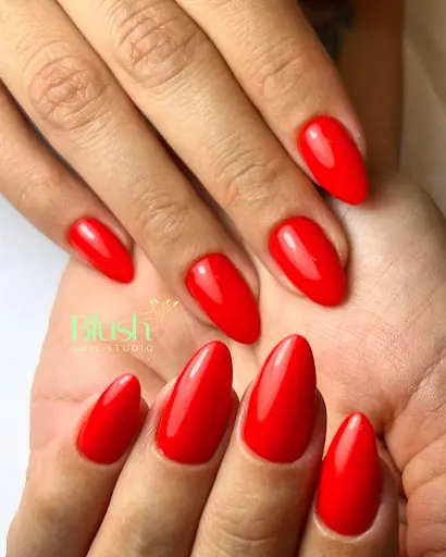 Blush Nail Beauty Studio 4
