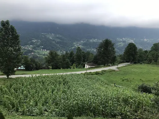 Büyükmahalle 2
