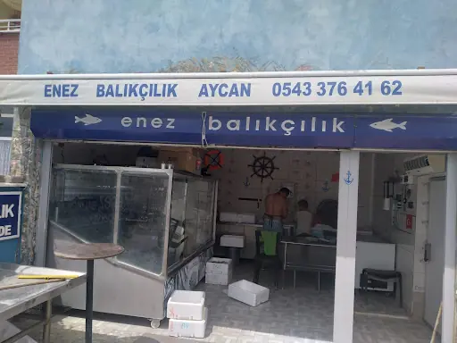 ENEZ BALIKÇILIK AYCAN'IN YERİ