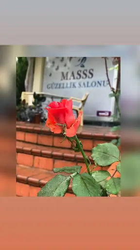 Masss Güzellik Merkezi