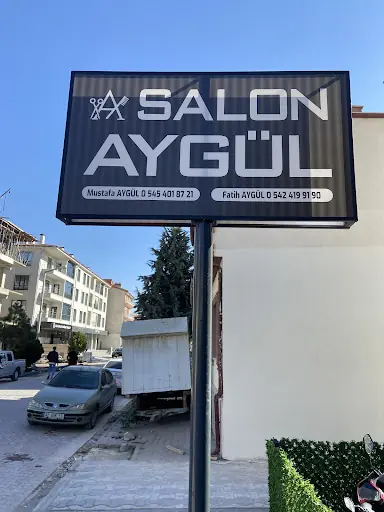 Salon aygül