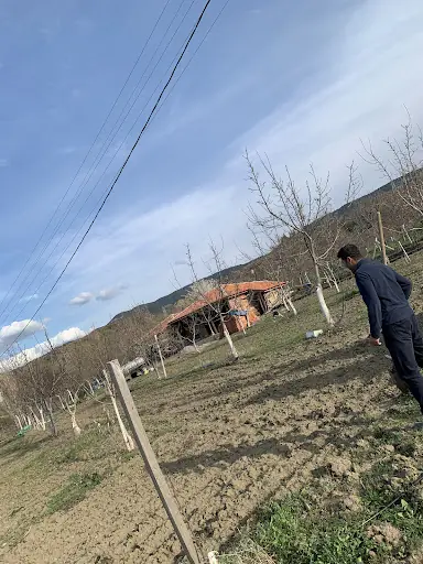 Tıngırlı hobi bahçesi 4