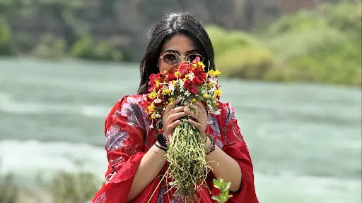 Asurlar Turizm Cizre