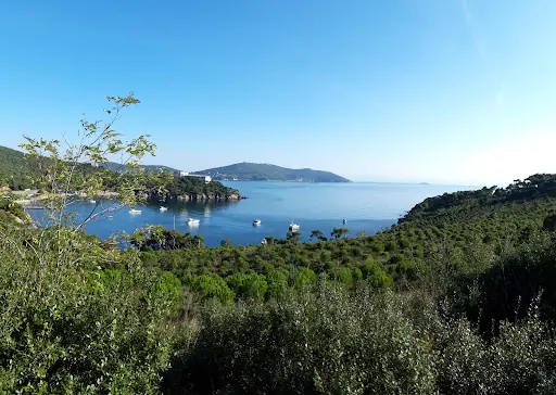 Çam Limanı Plajı