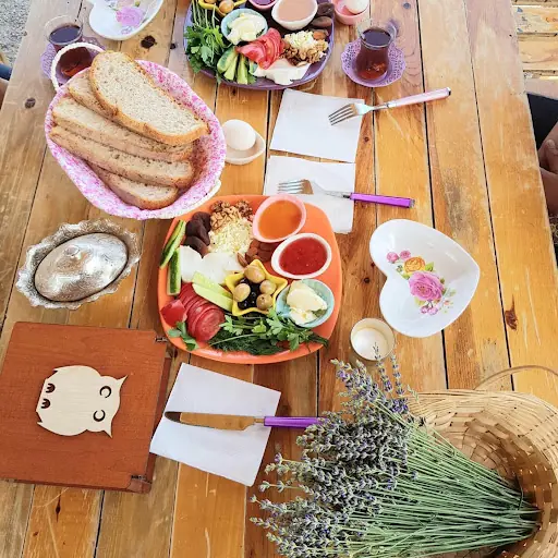 Şair İrfanın Yeri 4