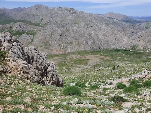 Ali gölü 5