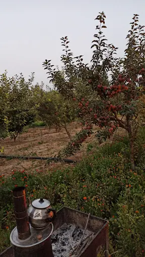 Sulusaray Belediyesi 4
