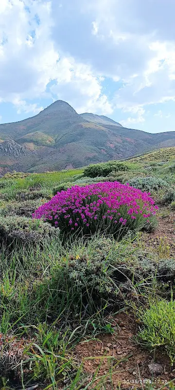 Hazar Dağı 3