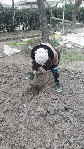 Taşköprü Aile Sağlığı Merkezi