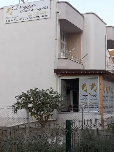 Duygu Estetik&Güzellik 3